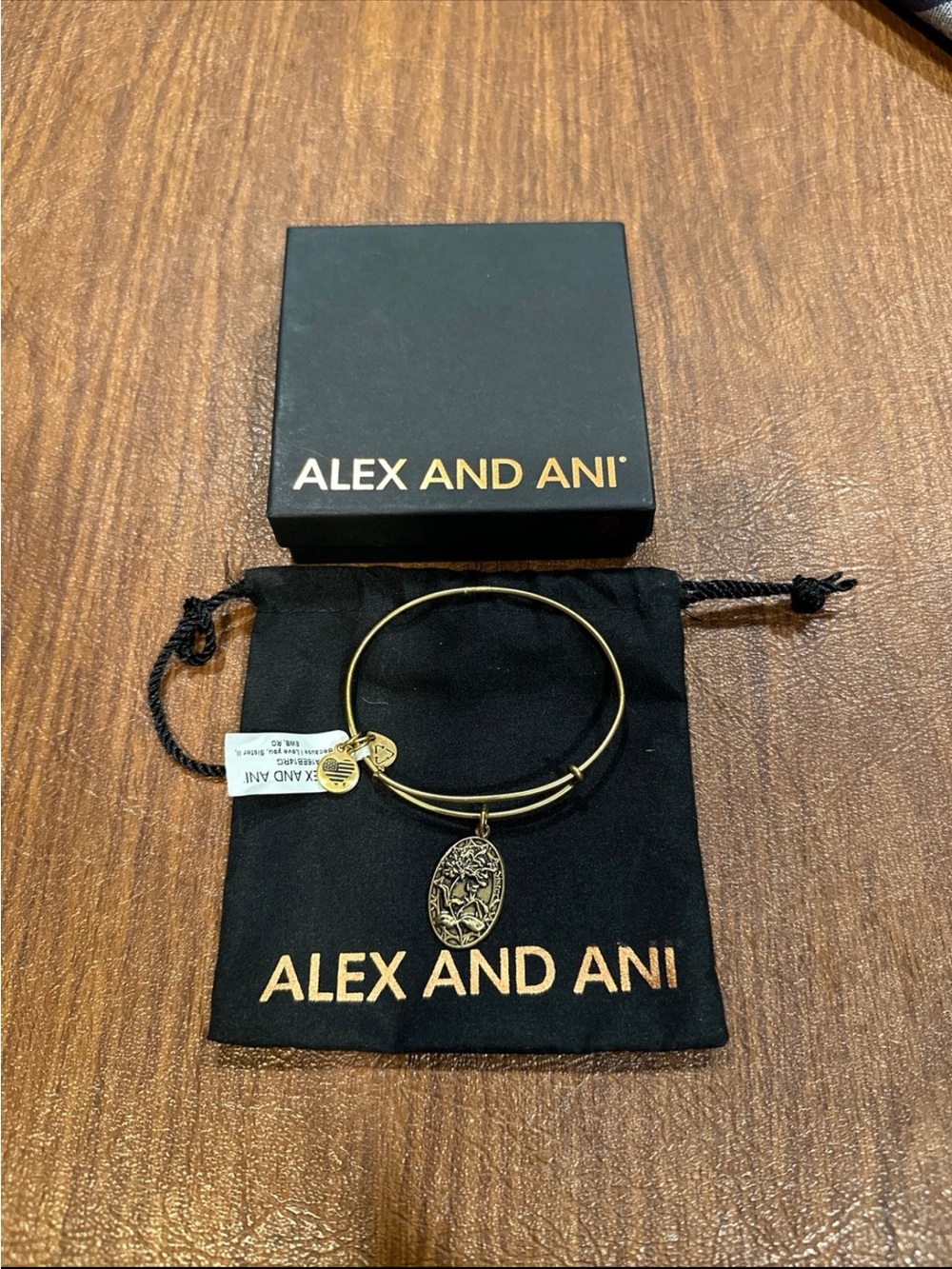 Alex and Ani Sister Charm Bangle